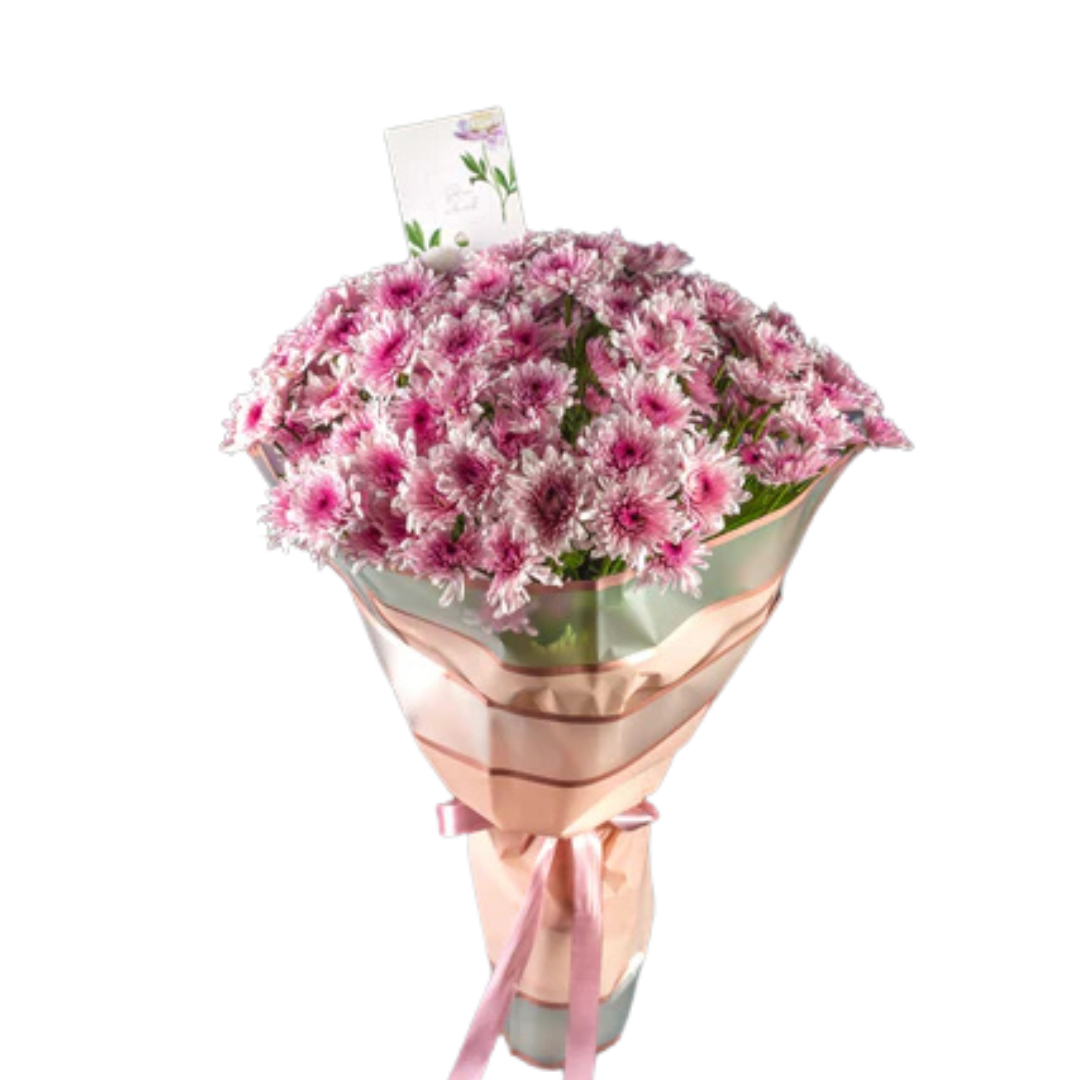 Chrysanthemum Charm Flower Room