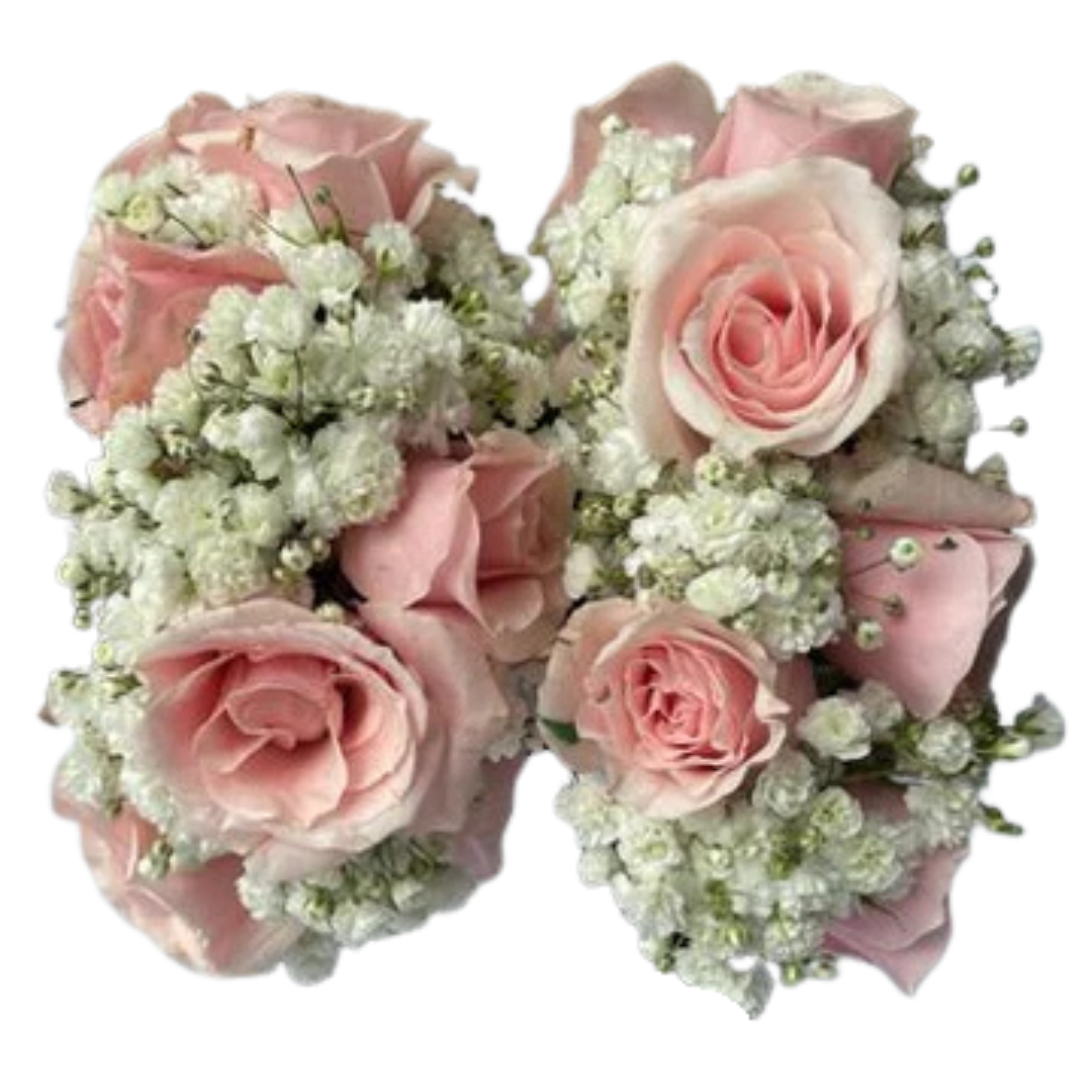 Pair of Pink Elegant Gajray