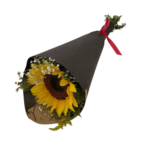 "Elegant sunflower bouquet wrapped in black paper with baby’s breath and red ribbon – flower delivery Pakistan"