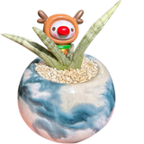 Sansveria Cylindrica snake plant with long cylindrical green leaves in a 5-inch blue and white round planter, decorated with a reindeer figurine and white pebbles.