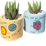 Set of two 2-inch cylindrical Painted Planters with Haworthia succulents, featuring green leaves with white spots, in yellow and blue pots with hand-painted designs of a sun, planet, and grapes, with messages “You’re Outta This World” and “Hey, I’m So Grapeful For You.”