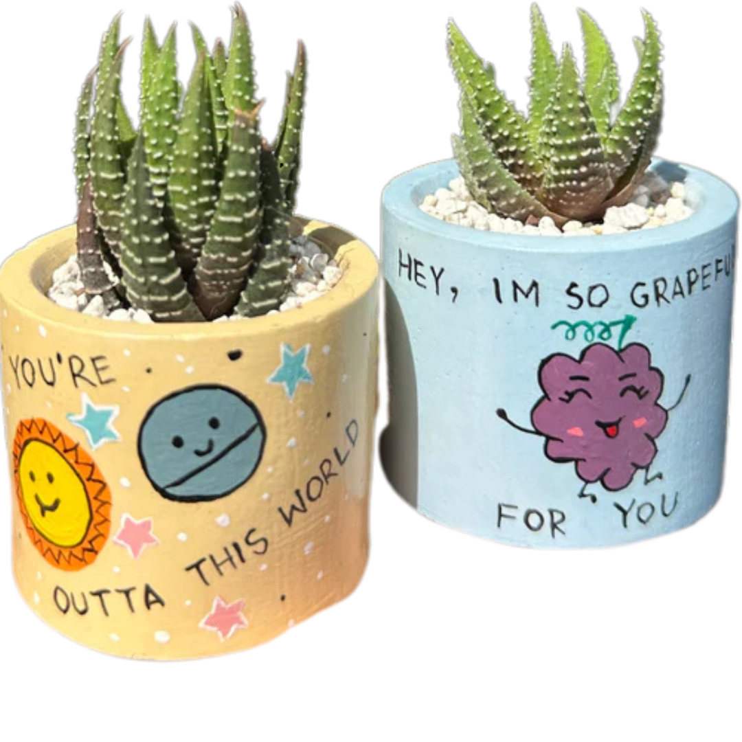 Set of two 2-inch cylindrical Painted Planters with Haworthia succulents, featuring green leaves with white spots, in yellow and blue pots with hand-painted designs of a sun, planet, and grapes, with messages “You’re Outta This World” and “Hey, I’m So Grapeful For You.”