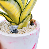 Sansveria Golden Hahnii Golden Snake Plant with yellow-edged leaves in a 5-inch pink and white round planter, decorated with koala figurines and white pebbles.